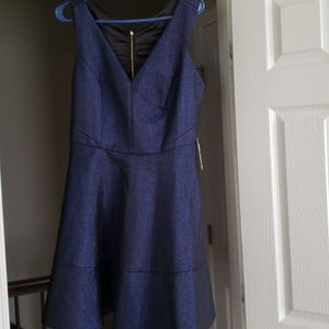 Express Metallic Fit and flare dress